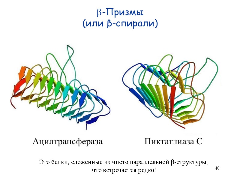 40 -Призмы  (или β-спирали) Ацилтрансфераза Пиктатлиаза С Это белки, сложенные из чисто параллельной